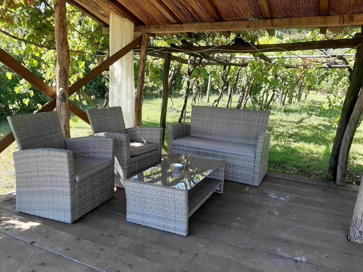 Bettina Holiday home Lucca